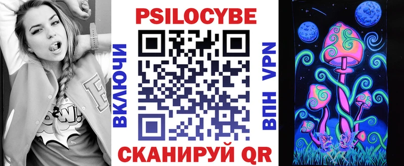 Галлюциногенные грибы Psilocybe  blacksprut ссылки  Калининец 